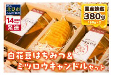 《14営業日以内に発送》【国産蜂蜜】白花豆はちみつ 190g×2個 と ミツロウキャンドル 1個 ( はちみつ 蜂蜜 ハチミツ 白花豆 ミツロウ キャンドル ロウソク ろうそく )【022-0010】