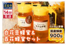 《14営業日以内に発送》【国産蜂蜜】はちみつ450g パッカー容器2本 ( 白花豆蜂蜜 百花蜂蜜 はちみつ 蜂蜜 ハチミツ ハニー パッカー容器 )【022-0013】