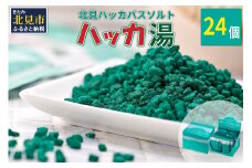 ハッカ湯 24袋入り ( 薄荷湯 ハッカ 薄荷 はっか お風呂 入浴剤 バスソルト にごり湯 24袋 )【007-0013】