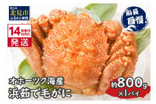 《14営業日以内に発送》オホーツク海産 浜茹で毛がに 約800g×1パイ 冷凍 ( かに カニ 毛ガニ 魚介類 蟹 )【114-0032-2024】