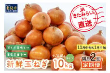 ☆L玉隔月定期便(11月・1月)☆JAきたみらいから直送する新鮮玉ねぎ 10kg(L)×2回 ( 野菜 定期便 玉葱 たまねぎ 期間限定 )【999-0118-2025】