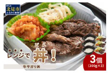 レンジで丼！牛サガリ丼 3個 ( 弁当 どんぶり 丼 サガリ 冷凍 簡単調理 )【136-0013】