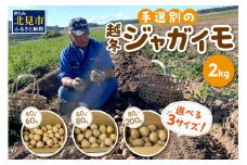 【予約：2025年2月上旬から順次発送】【選べる3サイズ】宇野さんの手拾い、手選別の越冬ジャガイモ 2kg 　( 芋 野菜 選べる )【167-0002-2025】