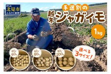 【予約：2025年2月上旬から順次発送】【選べる3サイズ】宇野さんの手拾い、手選別の越冬ジャガイモ 1kg 　( 芋 野菜 選べる )【167-0001-2025】