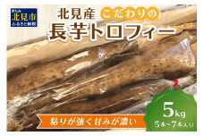 【予約：2025年11月下旬から順次発送】北見産 こだわりの長芋トロフィー 5kg箱 ( 長いも ながいも 野菜 数量限定 期間限定 5キロ )【169-0001-2025】