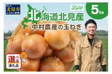 【2025年9月中お届け】北海道北見産 玉ねぎ 5kg ( 玉ねぎ 野菜 たまねぎ タマネギ 玉葱 甘い ハンバーグ 肉じゃが ふるさと納税 玉ねぎ )【002-0008-2025】