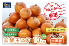 ☆L玉隔月定期便(12月・2月)☆JAきたみらいから直送する新鮮玉ねぎ 10kg(L玉)×2回 ( 野菜 定期便 玉葱 たまねぎ 期間限定 )【999-0148-2025】