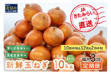 ☆L玉隔月定期便(10月・12月・2月)☆JAきたみらいから直送する新鮮玉ねぎ 10kg(L玉)×3回 ( 野菜 定期便 玉葱 たまねぎ 期間限定 )【999-0147-2025】
