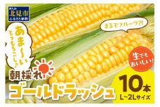 【予約：2024年9月上旬から順次発送】北海道北見市産 朝採れ ゴールドラッシュ 10本 ( 野菜 トウモロコシ とうもろこし コーン ゴールドラッシュ 採れたて 新鮮 )【164-0005】