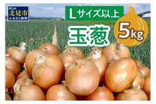 【2025年11月中お届け】玉葱 5kg Lサイズ以上 ( たまねぎ 玉ねぎ タマネギ 5キロ 野菜 北海道産 ふるさと納税 玉ねぎ生産量日本一 北見市 )【148-0002-2025】