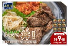 【3ヶ月定期便】レンジで丼！牛肉丼定期便 ( 牛肉 弁当 総菜 冷凍 簡単調理 サガリ カルビ ニノウデ )【999-0164】