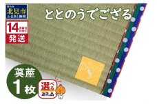 《14営業日以内に発送》ととのうでござる 茣蓙 ゴザ 1枚 ( 畳 ござ サウナ サウナマット い草 一人用 コンパクト )【174-0001】