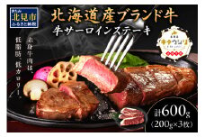 キタウシリ 牛サーロインステーキ 200g×3枚 ( 牛肉 サーロインステーキ 肉 ステーキ 赤身肉 ニク にく 北海道 国産牛 北見市 ブランド牛 赤身 ヘルシー 数量限定 )【173-0006】
