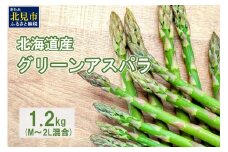 【朝採れ直送！】ほんのり甘い春の味覚！北海道のグリーンアスパラ 1.2kg M～2L混合サイズ ( アスパラガス グリーン 北海道 オホーツク 甘い 旬 サラダ 肉巻き) 【172-0002】