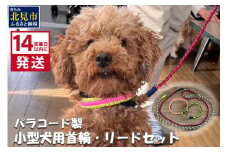 《14営業日以内に発送》小型犬用首輪 2個 リード 2本 4点セット ( ペット 犬 小物 わんこ 手作り 首輪 リード )【195-0003】