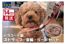 《14営業日以内に発送》パラコード製 ストラップ 1個 小型犬用首輪 1個 小型犬用リード1本 3点セット ( ペット 犬 小物 わんこ 手作り 首輪 リード )【195-0002】
