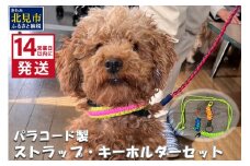 《14営業日以内に発送》パラコード製 ストラップ1個 キーホルダー2個 3点セット ( ペット 犬 小物 わんこ 手作り )【195-0001】