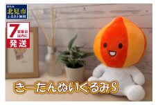 《7営業日以内に発送》きーたん ぬいぐるみ S ( ぬいぐるみ 玉ねぎ マスコット キャラクター )【165-0002】