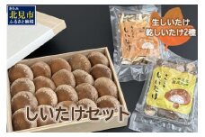 【木箱入】北海道産 生しいたけ(菌床) 乾しいたけ(ひと口・スライス)セット ( きのこ キノコ 椎茸 シイタケ )【038-0007】