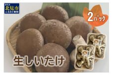 北海道産 生しいたけ(菌床) 2パック ( きのこ キノコ 椎茸 シイタケ )【038-0006】