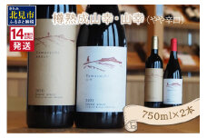 《14営業日以内に発送》樽熟成山幸（やや辛口）・山幸（やや辛口）750ml×2本 ( ワイン ぶどう ブドウ 酒 飲料 アルコール 辛口 )【138-0009】
