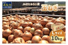 【2026年4月中お届け】JAきたみらい産 玉ねぎ Lサイズ 10kg ( タマネギ たまねぎ 野菜 )【210-0001】
