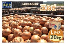 【2025年9月中お届け】JAきたみらい産 玉ねぎ Lサイズ 20kg ( タマネギ たまねぎ 野菜 )【210-0002】