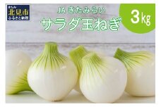 【予約：2025年7月下旬から順次発送】北海道 JAきたみらい サラダ玉ねぎ 3kg ( 玉葱 サラダ 期間限定 )【005-0030】