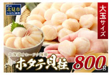【2025年11月発送】北海道オホーツク海産 ホタテ貝柱 800g 生食用 大玉サイズ ( 海鮮 魚介 魚介類 貝 貝類 帆立 ほたて お刺身 刺身 貝柱 海鮮丼 帆立貝柱 人気 ふるさと納税 ホタテ )【037-0010】