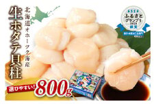 【2025年10月発送】北海道オホーツク海産 ホタテ貝柱 800g 生食用 ( 海鮮 魚介 魚介類 貝 貝類 帆立 ほたて お刺身 刺身 貝柱 海鮮丼 帆立貝柱 人気 ふるさと納税 ホタテ )【037-0011】