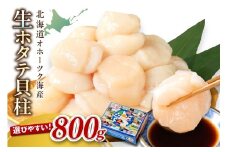 【2025年11月発送】北海道オホーツク海産 ホタテ貝柱 800g 生食用 ( 海鮮 魚介 魚介類 貝 貝類 帆立 ほたて お刺身 刺身 貝柱 海鮮丼 帆立貝柱 人気 ふるさと納税 ホタテ )【037-0016】