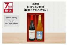 《7営業日以内に発送》北見産 紅白ワインセット（山幸×きたみブラン） ( ワイン 赤ワイン 白ワイン 紅白セット 山幸 きたみブラン ギフト 贈り物 )【186-0008】