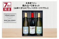 《7営業日以内に発送》北見産ワイン 飲み比べ3本セット（山幸×きたみブラン×オホーツクブラン） ( ワイン 赤ワイン 白ワイン 熟成白ワイン セット 飲み比べ 山幸 きたみブラン オホーツクブラン ギフト 贈り物 )【186-0007】