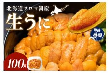 【予約：2026年4月中旬から順次発送】サロマ湖産 生うに ( 海鮮 雲丹 うに ウニ 塩水 生ウニ 生うに ウニ丼 エゾバフンウニ ムキ身 高級 1パック 期間限定 )【114-0006-2026】