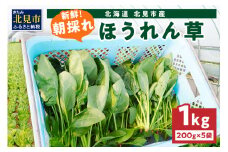 【予約：2026年6月中旬から順次発送】北海道北見産 朝採れ ほうれん草 1kg 200g×5袋 ( 新鮮 採れたて ホウレンソウ ほうれんそう ハウス栽培 )【164-0008-2025】