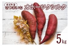 【予約：2025年11月中旬から順次発送】北海道常呂町産 サツマイモ オホーツクシルク 5kg ( さつまいも さつま芋 焼き芋 大学芋 )【111-0001】