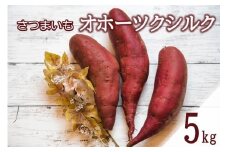 【予約：2025年11月中旬から順次発送】北海道北見市常呂町産 サツマイモ オホーツクシルク 5kg ( さつまいも さつま芋 焼き芋 大学芋 )【111-0001】