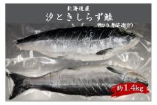 北海道産 汐ときしらず鮭 約1.4kg 切り身姿造り ( 鮭 ときしらず トキシラズ 時鮭 時不知鮭 焼き鮭 ギフト 贈り物 )【017-0022】