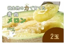 北海道北見市産 青肉メロン 2玉 ( メロン 青肉 果物 果実 )【081-0008-2025】