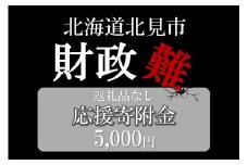 【返礼品なし】北海道北見市 応援寄附(5,000円分)【223-0003】