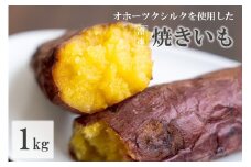 【予約：2025年11月中旬から順次発送】緑夢ファームのオホーツクシルクを使用した 冷凍 焼きいも 1kg ( さつまいも さつま芋 焼き芋 大学芋 冷凍 )【218-0001】