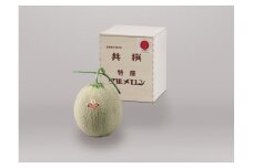 【限定100玉！】夕張メロン 1玉（糖度13％以上　等級：特秀） N8