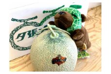 【先行予約受付中】「メロン熊ぬいぐるみ（ねむねむ）」と「夕張メロン1玉 （等級：優　１玉約1.3kg）」セット W35