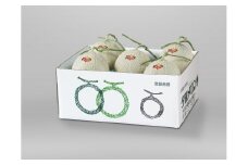 【先行予約受付中】夕張メロン 大箱8kg（糖度11％以上　等級：優　4～6玉入り） N29