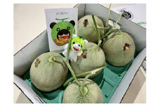 【先行予約受付中】「メロン熊ストラップ白」と「夕張メロン大箱8kg（等級：優　4～6玉入り）」セット W38