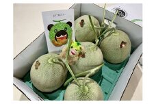 【先行予約受付中】「メロン熊ストラップゴールド」と「夕張メロン大箱8kg（等級：優　4～6玉入り）」セット W40