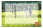 北海道米希少品種「あやひめ」と旨辛の「ご飯のおとも」セット【18004】