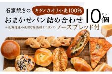 寄附額改定↓ パン 詰め合わせ おまかせ 10個 セット＋北海道産小麦100％高級ミニ食パン『ノースブレッド』【19113】