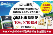 令和5年産【メール受付限定】北海道米3種から選択可能【10㎏×10回分】お好きなタイミングでお届け可能＊ネット申込限定【01208】