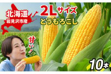 【令和7年度出荷先行予約！】北海道岩見沢市産とうもろこし2Lサイズ10本【11111】